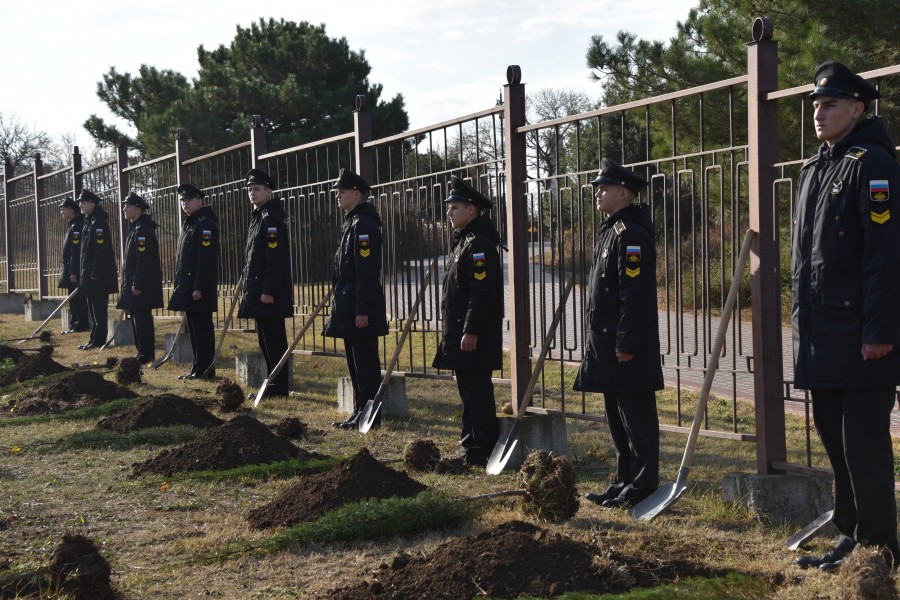 Заложили аллею. Аллея памяти люберцы. Заложили аллею. Герой дерево. Аллея памяти в детском саду.